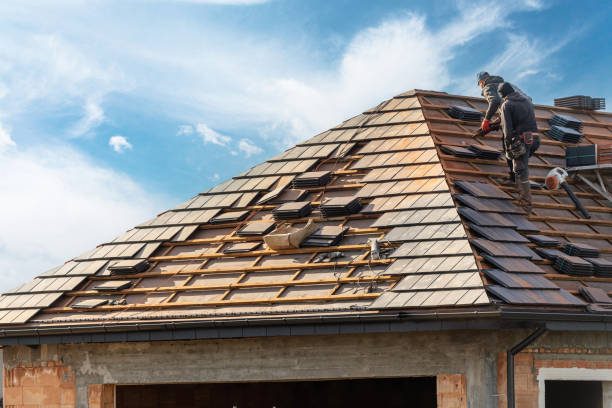 Best Cold Roofs  in Coker, AL