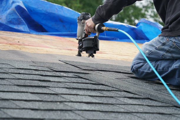 Best Roof Moss and Algae Removal  in Coker, AL